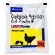 Lixen Powder 20g