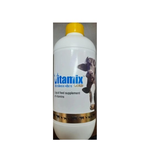 Vitamix Gold 300ml
