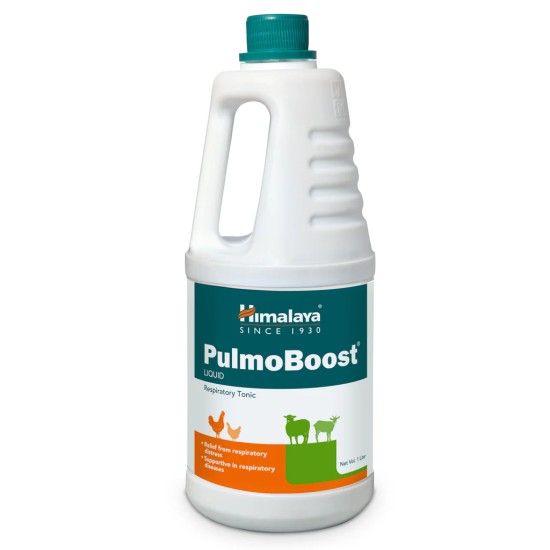 PulmoBoost (1L)