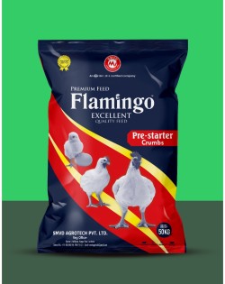 Flamingo - Pre Starter Crumbs