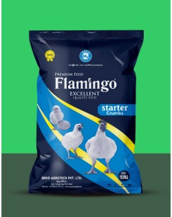 Flamingo - Starter Crumbs