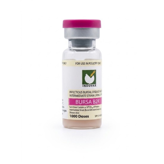 B2k Bursa 1000 Dose 