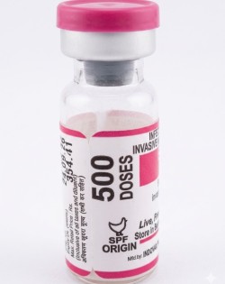 B2k Bursa 500 Dose 