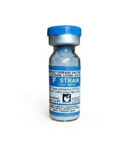 F1 vaccine  200 dose 