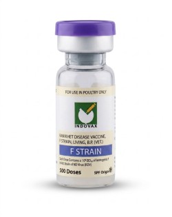 F1 vaccine 500 Dose 