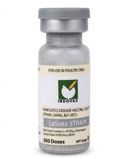 Lasota 500 Dose 