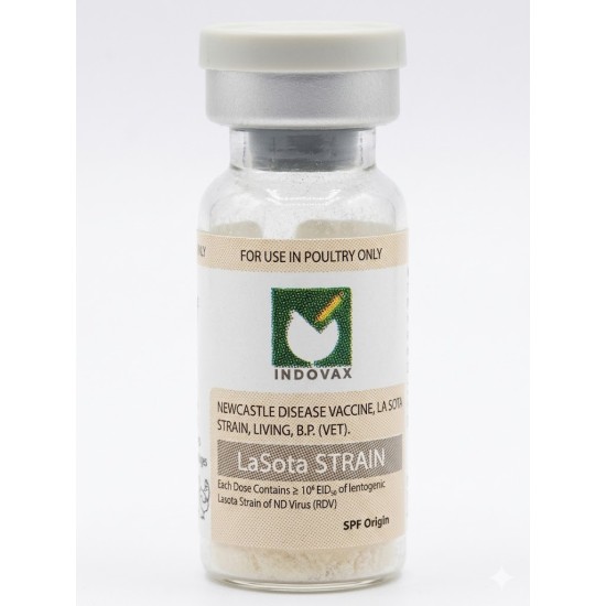 Lasota 200 dose 