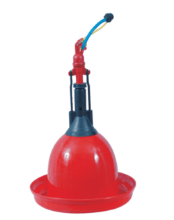 Bell Drinker-Classic