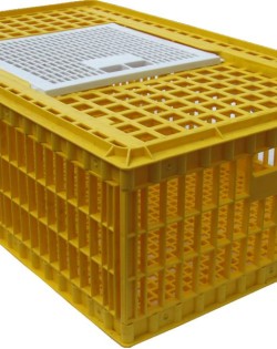 Bird Transportation Cage