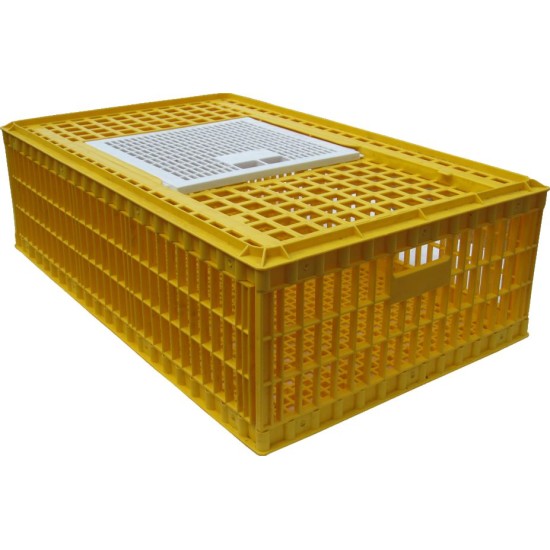 Bird Transportation Cage