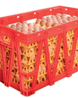Egg Storage Solution & Transport Cage