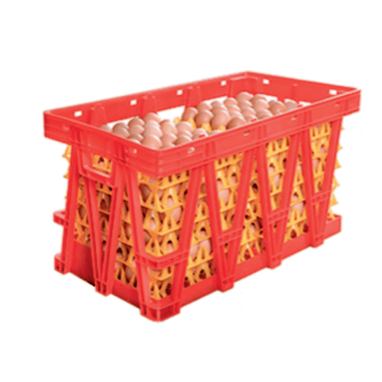 Egg Storage Solution & Transport Cage