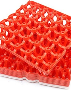 Plastic Egg Trays