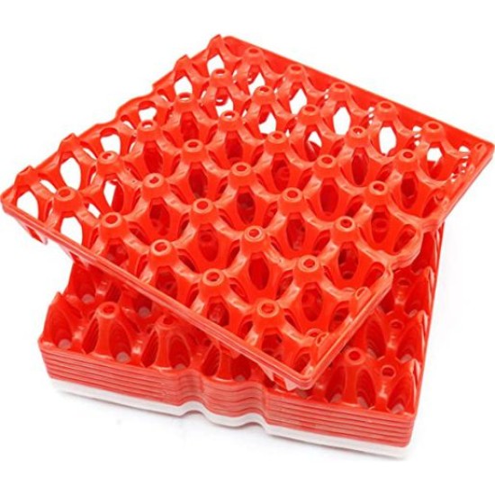 Plastic Egg Trays