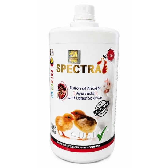 Spectra (1L)