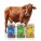 Feed Supplements & Mixtures आहार पूरक एवं मिश्रण