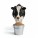  Dairy Feed Pellets - Milking Animal Feed दूध देने वाले पशुओं के लिए डेयरी फीड पेलेट