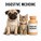 Digestive Medicines पाचन संबंधी दवाइयाँ
