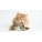 Treat and sticks Cat बिल्लियों के ट्रीट्स एवं चबाने वाली स्टिक्स