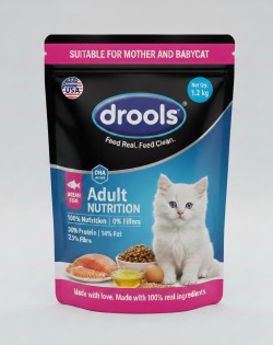Drools Cat Ocean Fish Adult 1.2kg
