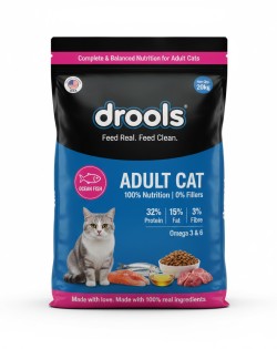 Drools Cat Ocean Fish Adult 20kg
