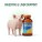Digestive & Liver Support (पाचन व लीवर सपोर्ट)