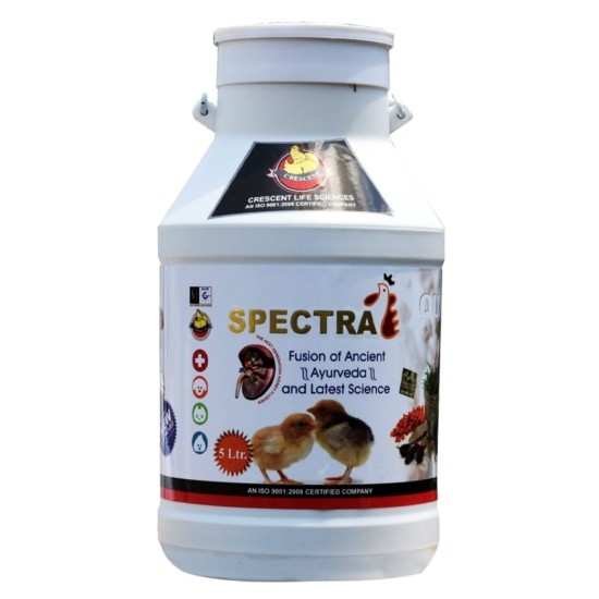 Spectra (5L)