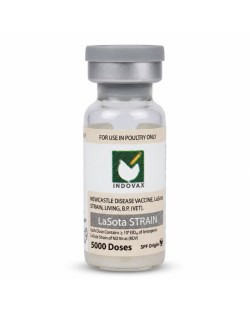 Lasota 5000 Dose