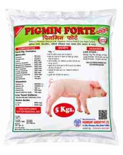 Pigmin Forte 5kg