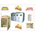 Poultry Equipment & Accessories (पोल्ट्री उपकरण एवं सहायक सामग्री)